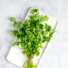 Dhaniya Patta (Coriander Leaves)