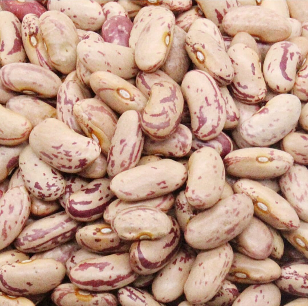 Rajma Chitra - Image 2