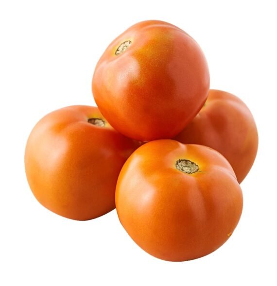Tamatar (Tomato)