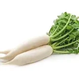Mooli (Radish)