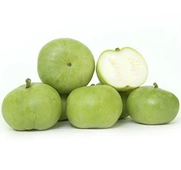 Tinda (Apple Gourd)