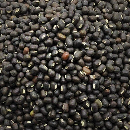 Urad Dal Black Whole - Image 2